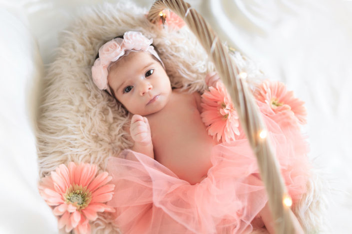 Baby Photography